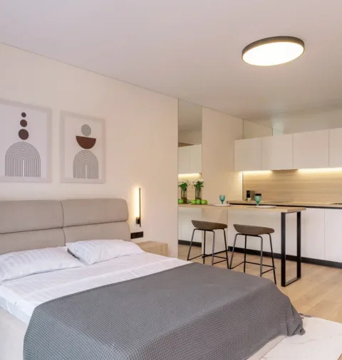 Studio Apartment